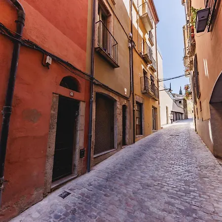 Bravissimo Sant Josep, Cosy Girona